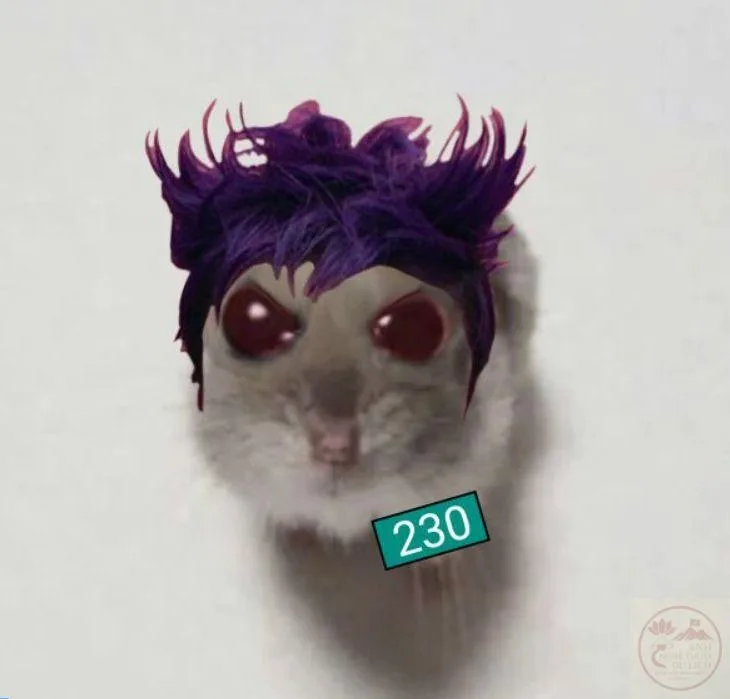 thanos squid game meme