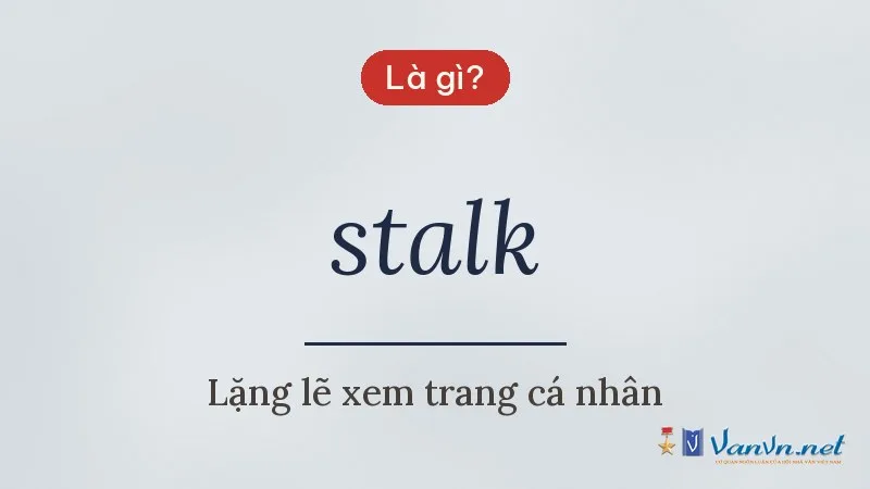 stalk là gì