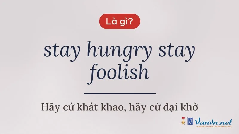 stay hungry stay foolish là gì