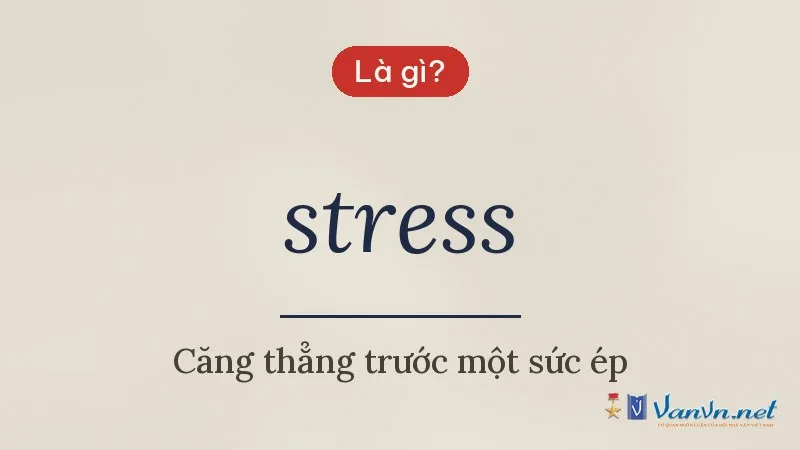 stress là gì