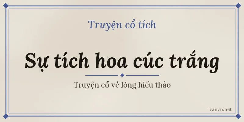 sự tích hoa cúc trắng