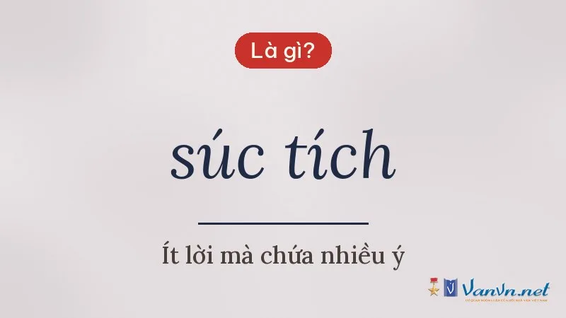 súc tích là gì