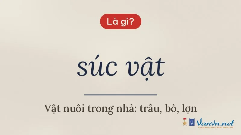 súc vật là gì