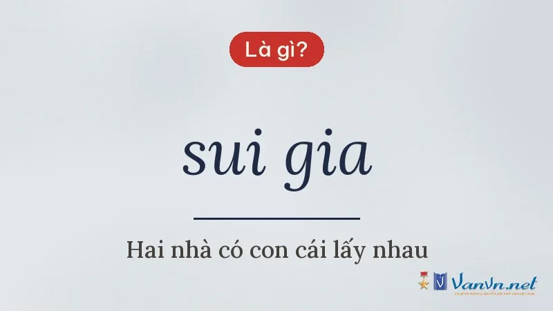 sui gia là gì