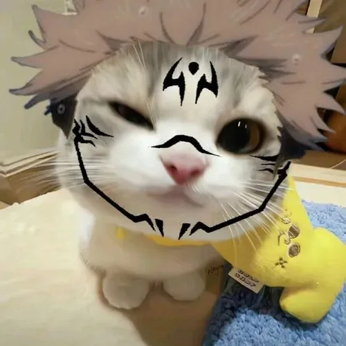 sukuna meme