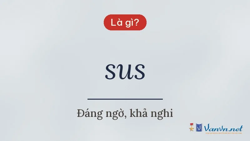 sus là gì
