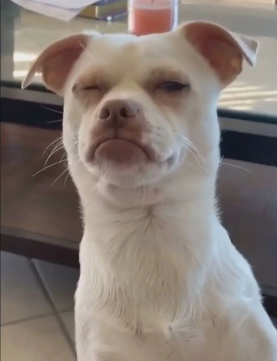 meme sus