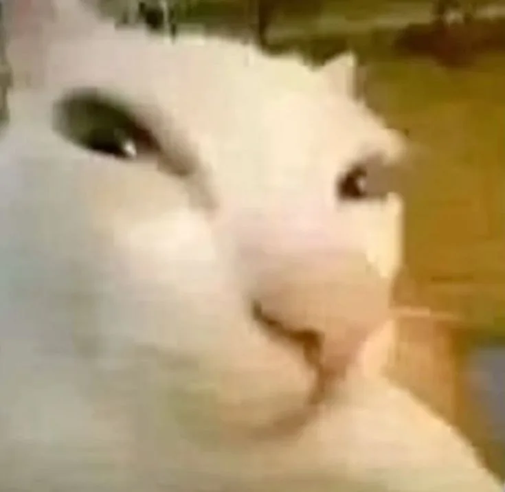 meme sus