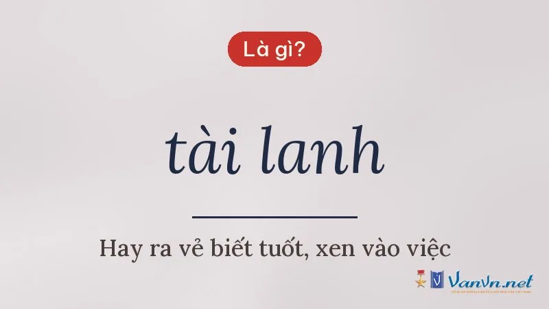 tài lanh là gì