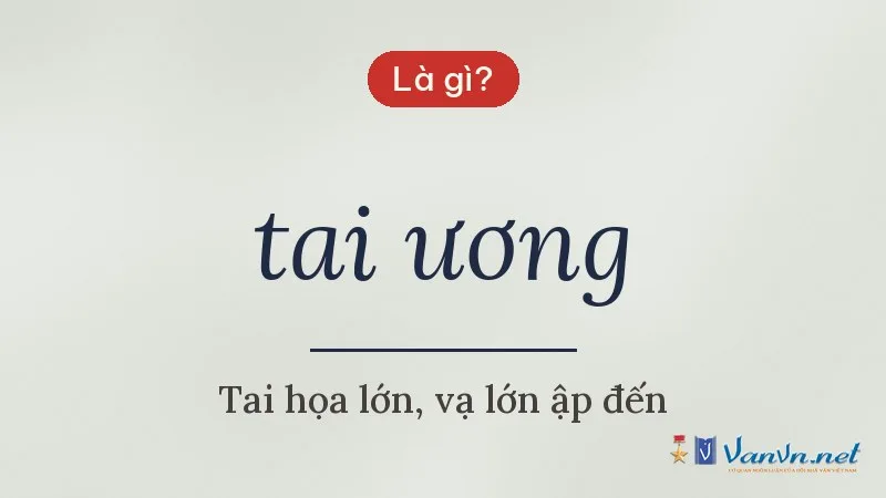 tai ương là gì