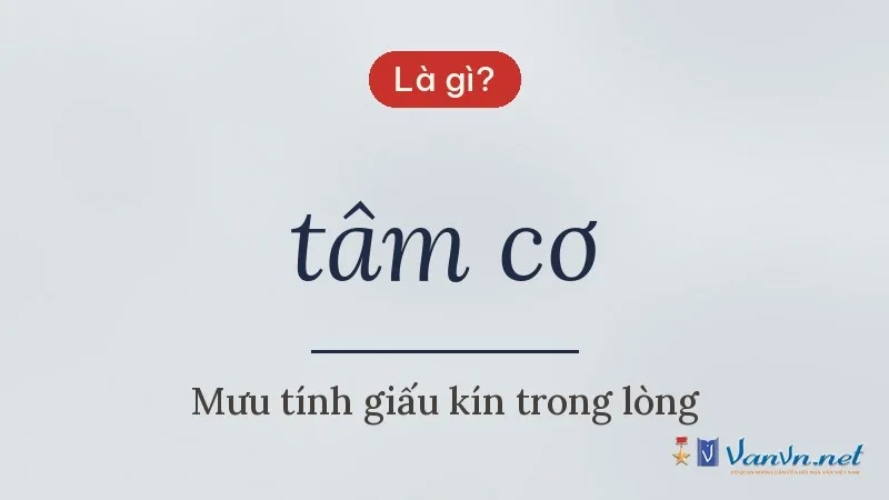 tâm cơ là gì