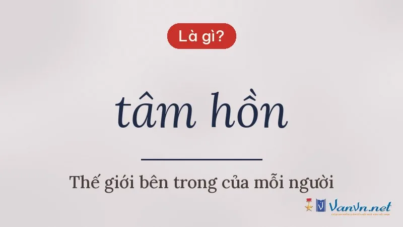 tâm hồn là gì