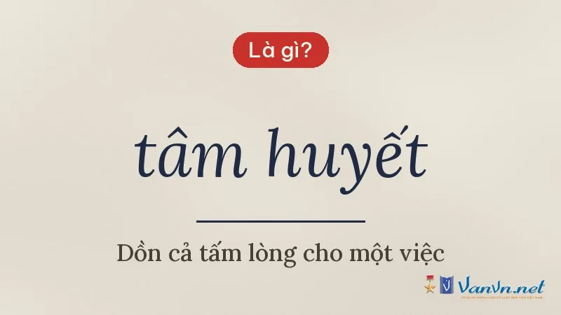 tâm huyết là gì