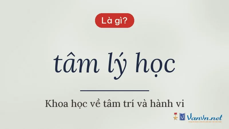 tâm lý học là gì