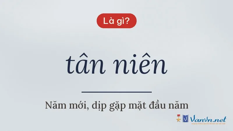 tân niên là gì