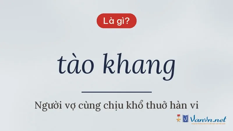 tào khang là gì