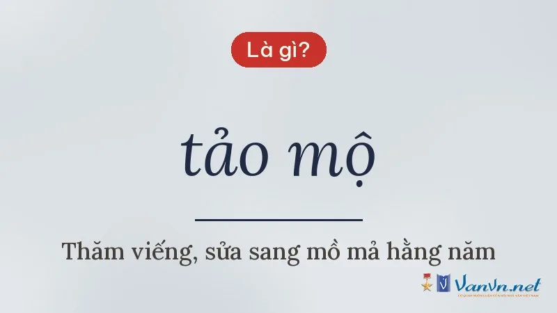 tảo mộ là gì