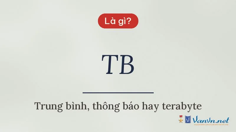 TB là gì
