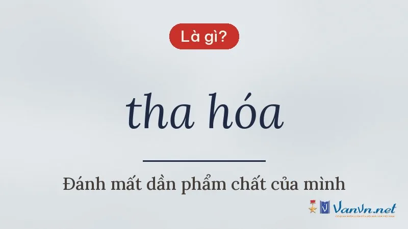 tha hóa là gì