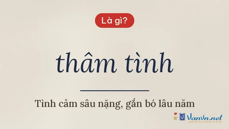 thâm tình là gì