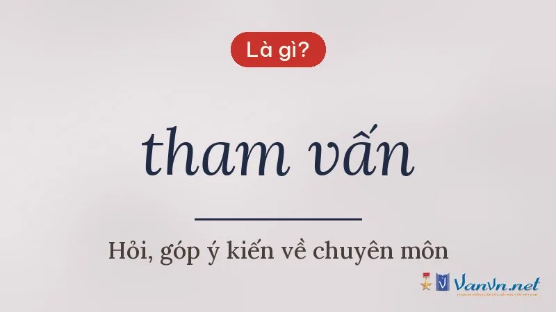 tham vấn là gì