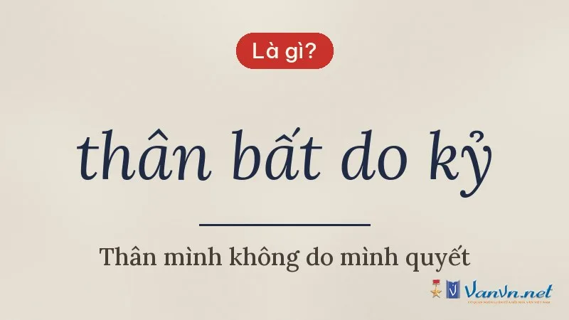 thân bất do kỷ là gì