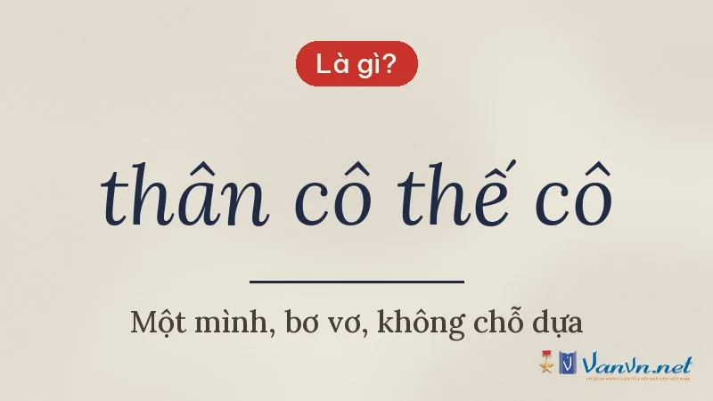 thân cô thế cô là gì