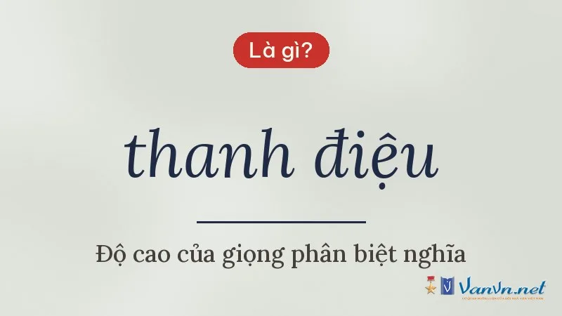 thanh điệu là gì