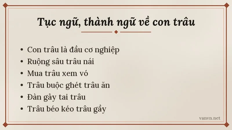 thành ngữ tục ngữ về con trâu