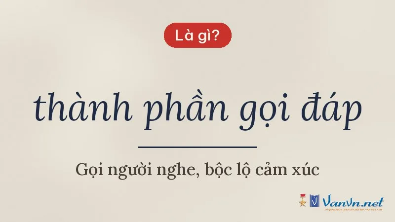 thành phần gọi đáp là gì