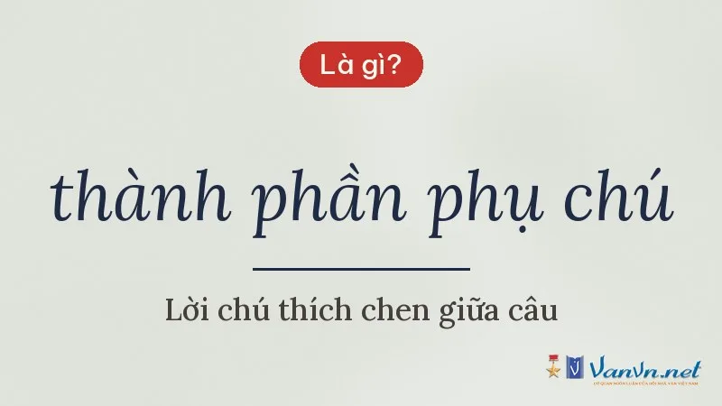 thành phần phụ chú là gì