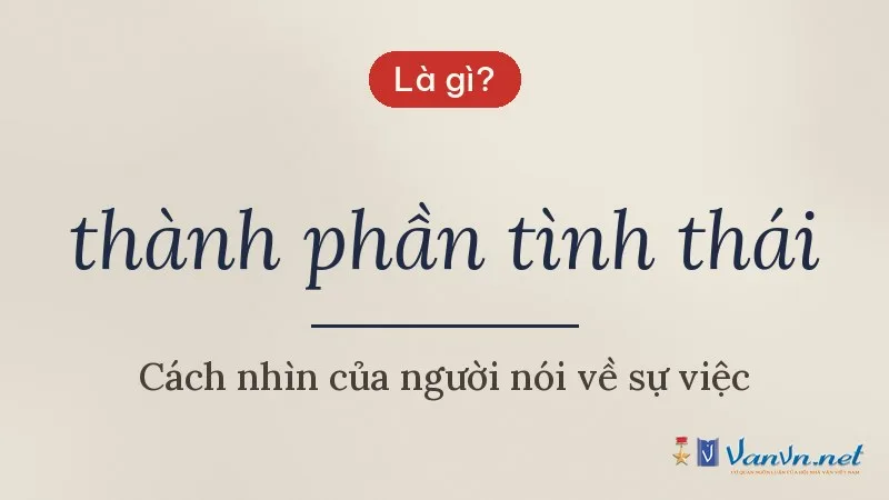 thành phần tình thái là gì
