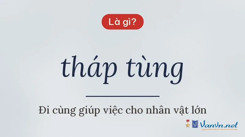 tháp tùng là gì