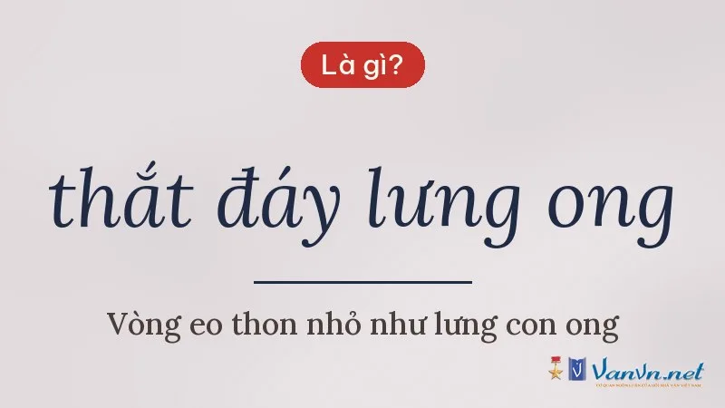 thắt đáy lưng ong là gì
