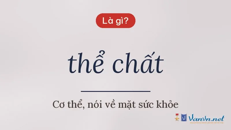 thể chất là gì