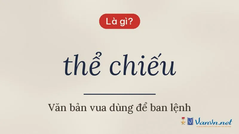 thể chiếu là gì