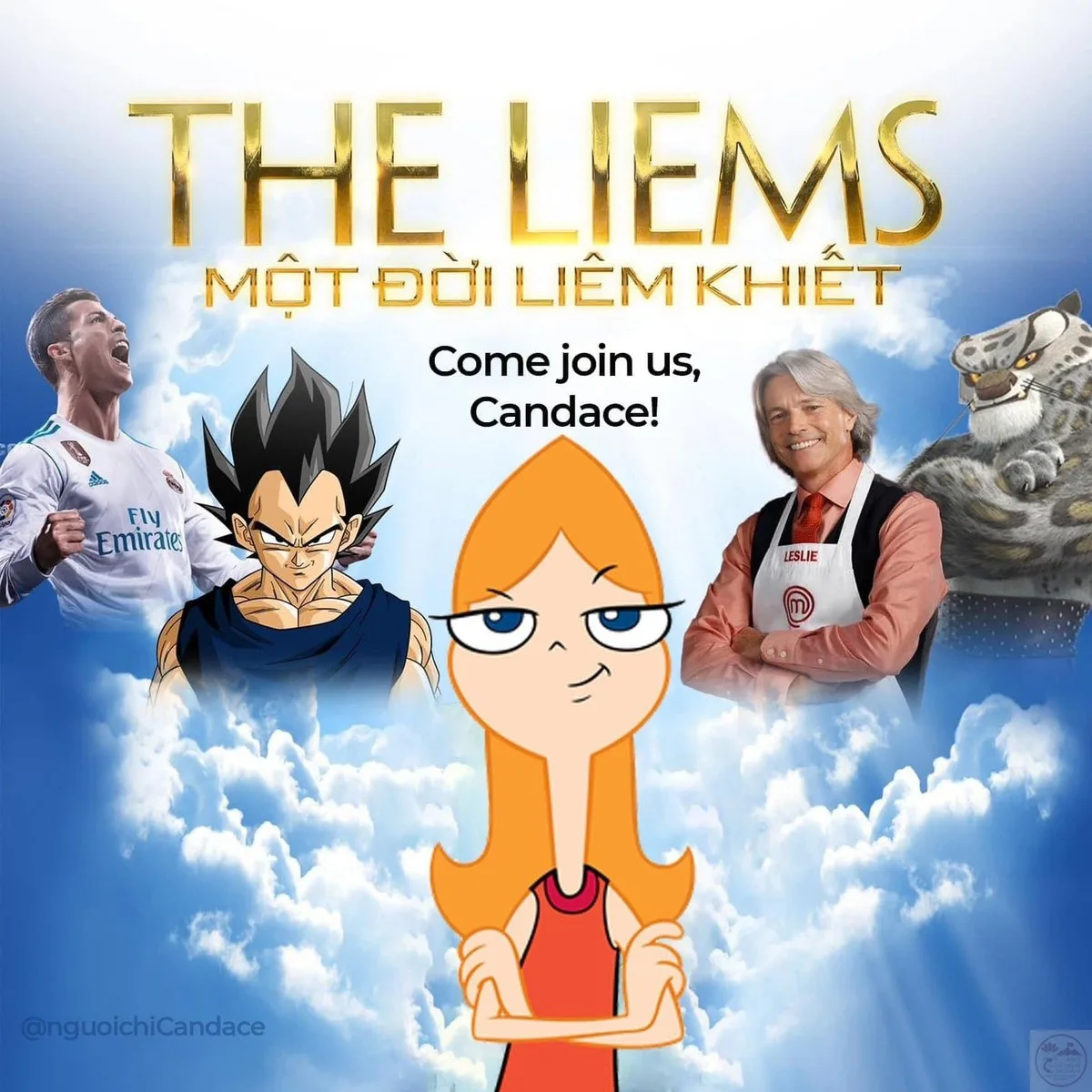meme the liems