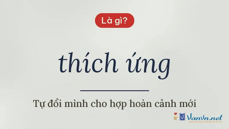 thích ứng là gì