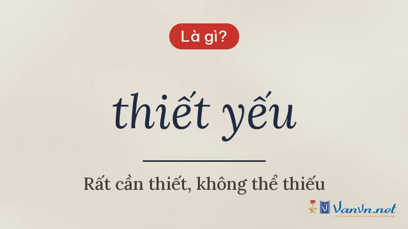 thiết yếu là gì