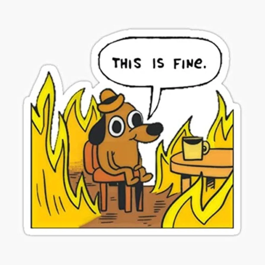 ảnh meme this is fine