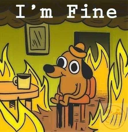 it's fine meme