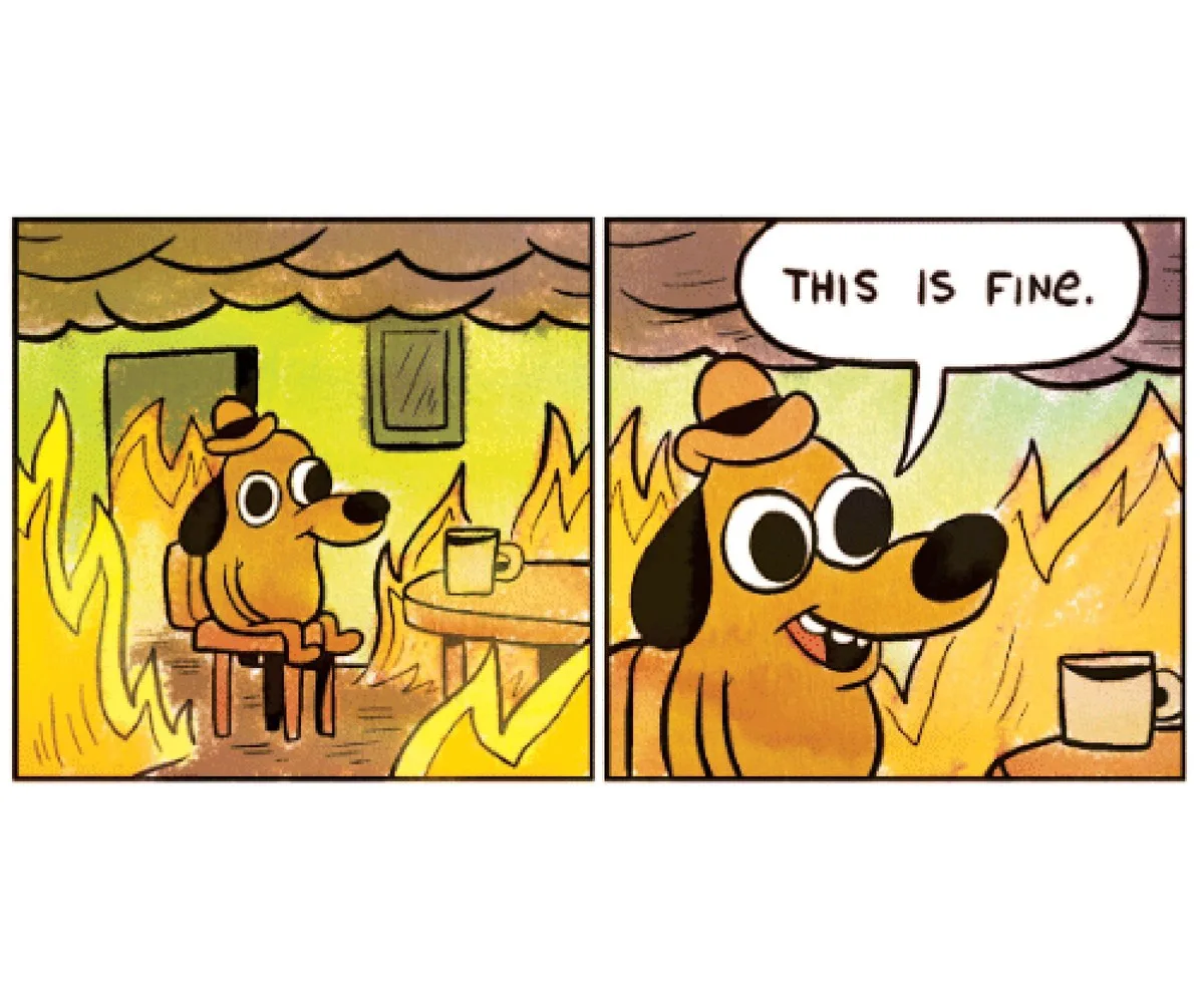 ảnh meme this is fine