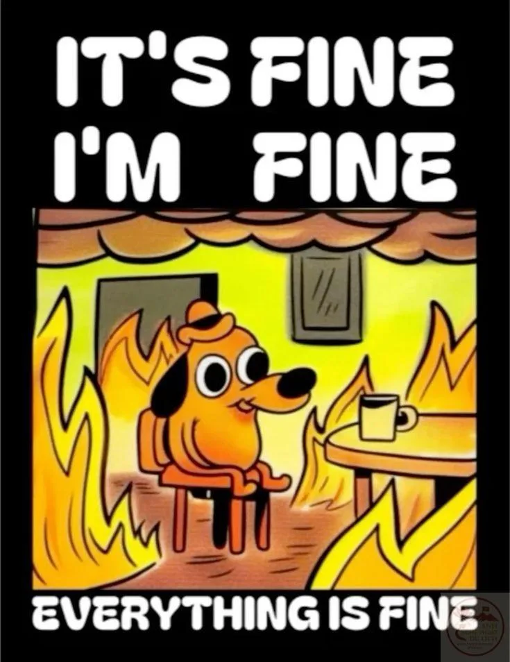 it's fine meme