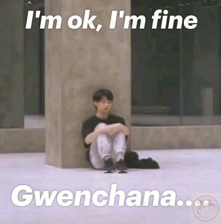 it's fine meme