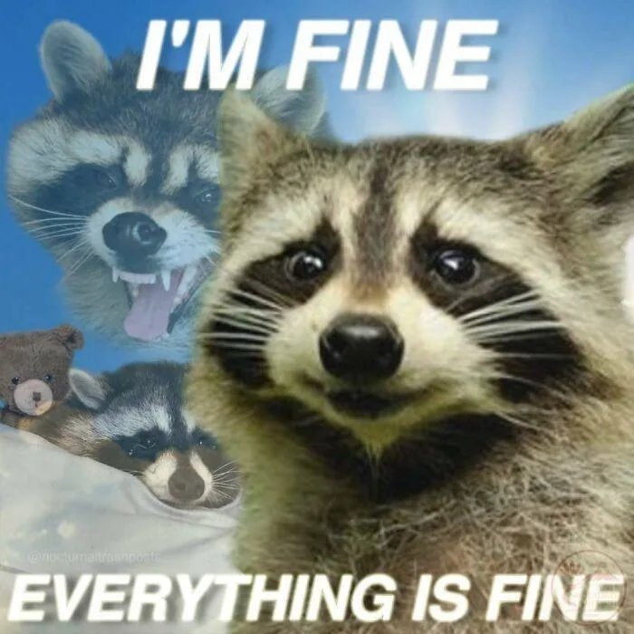 it's fine meme