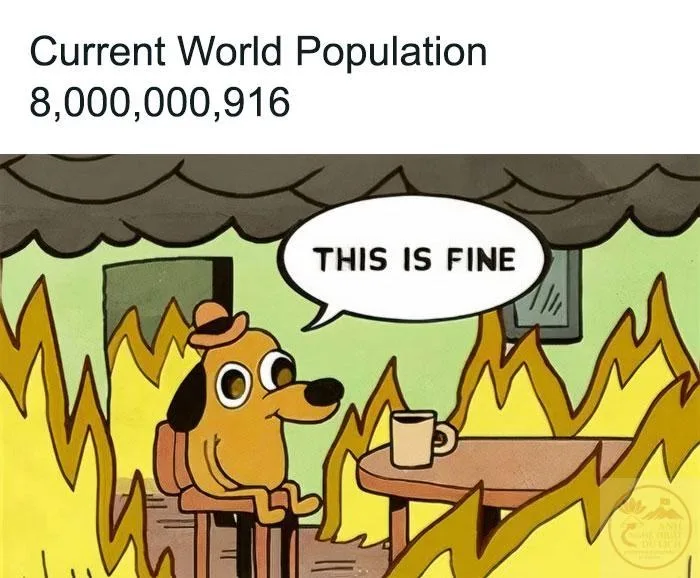 ảnh meme this is fine