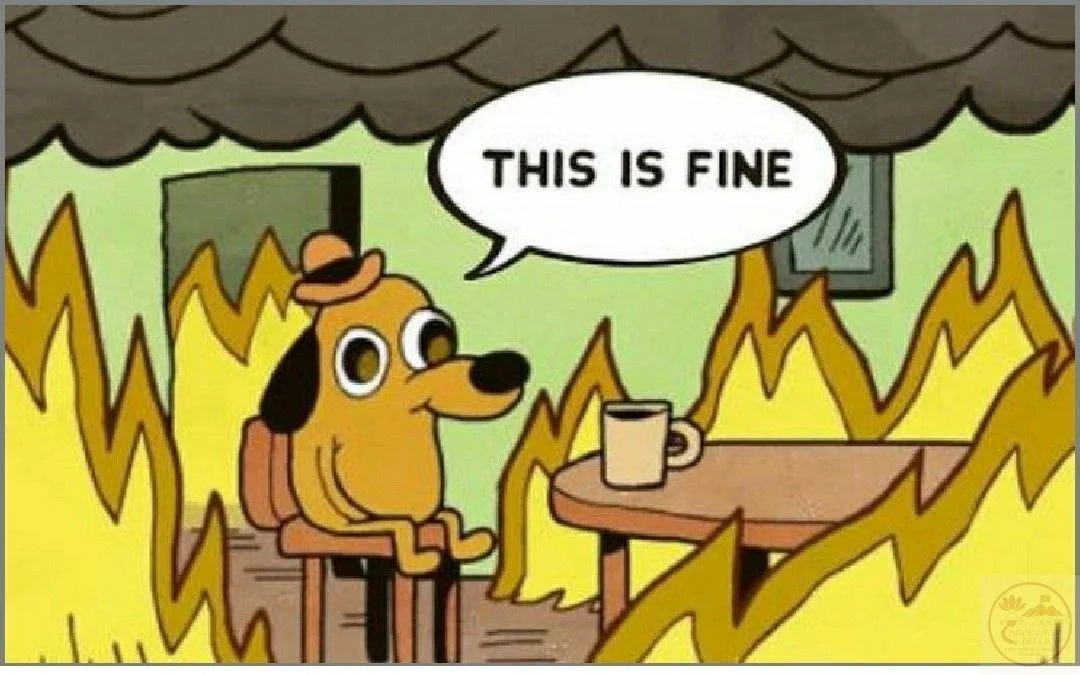 ảnh meme this is fine