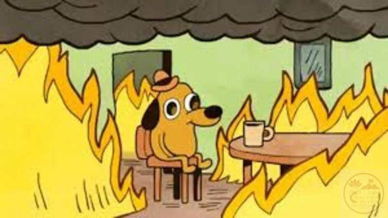 ảnh meme this is fine