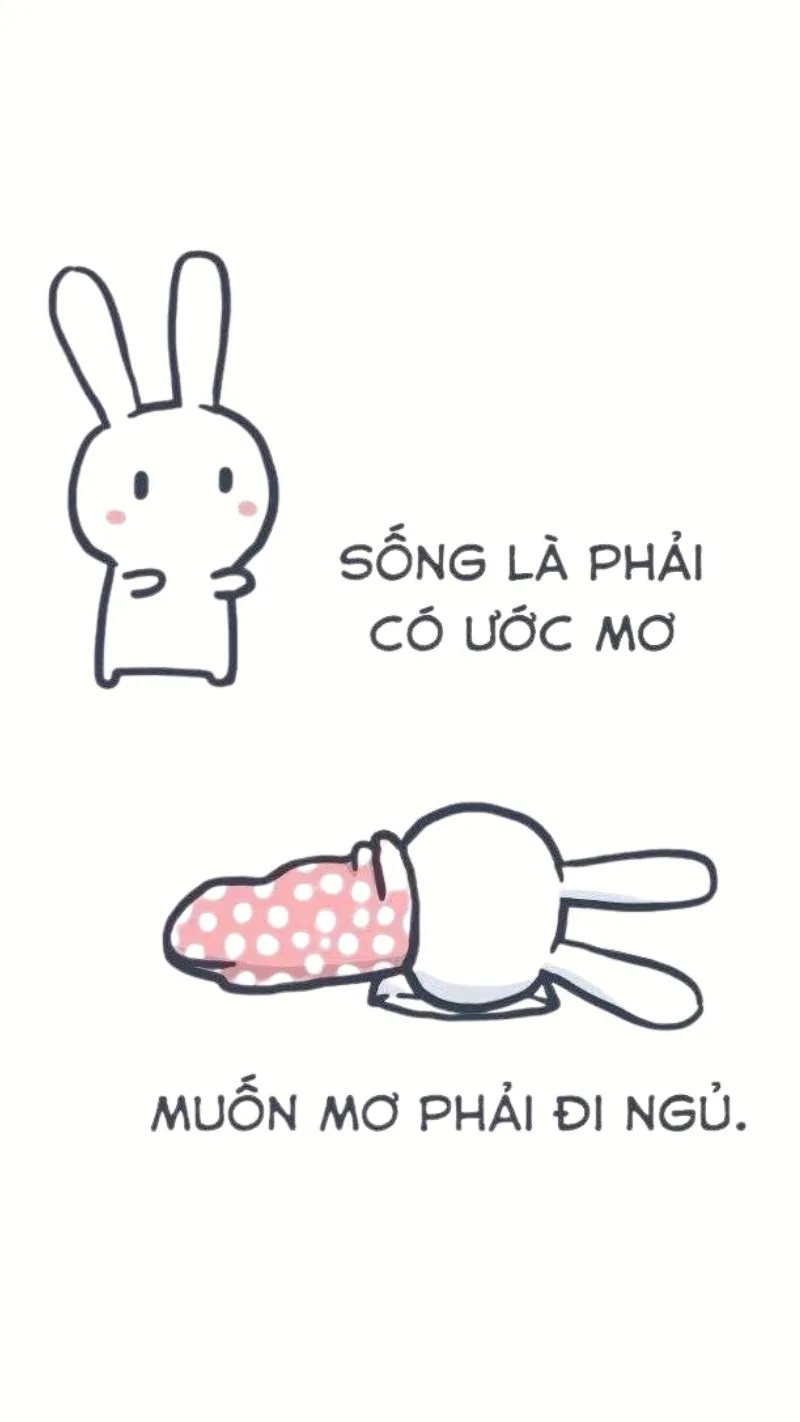 meme thỏ 7 màu có chữ