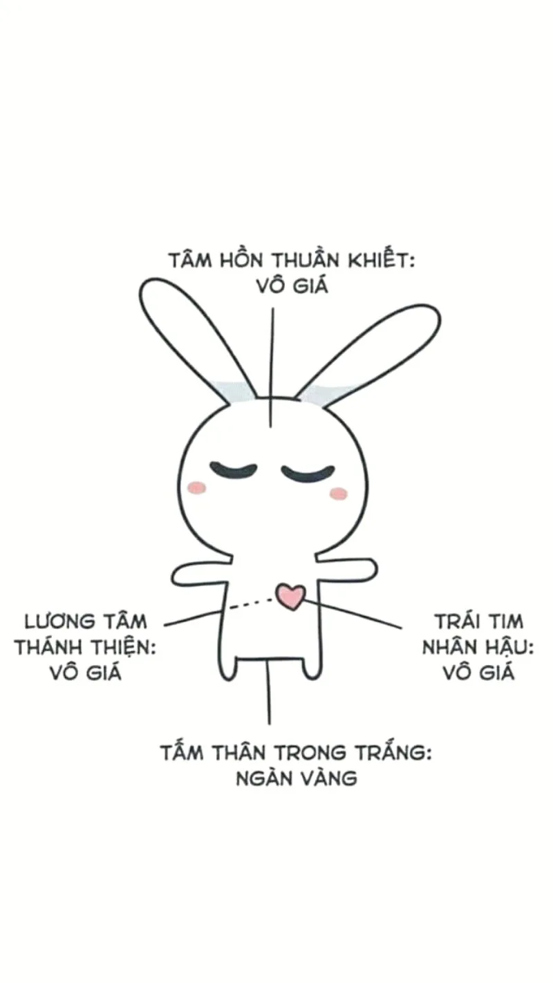 meme thỏ 7 màu có chữ
